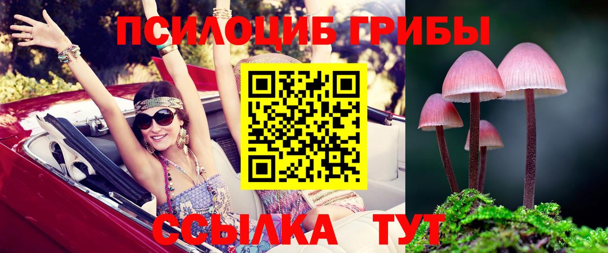 Псилоцибиновые грибы Magic Shrooms Лыткарино